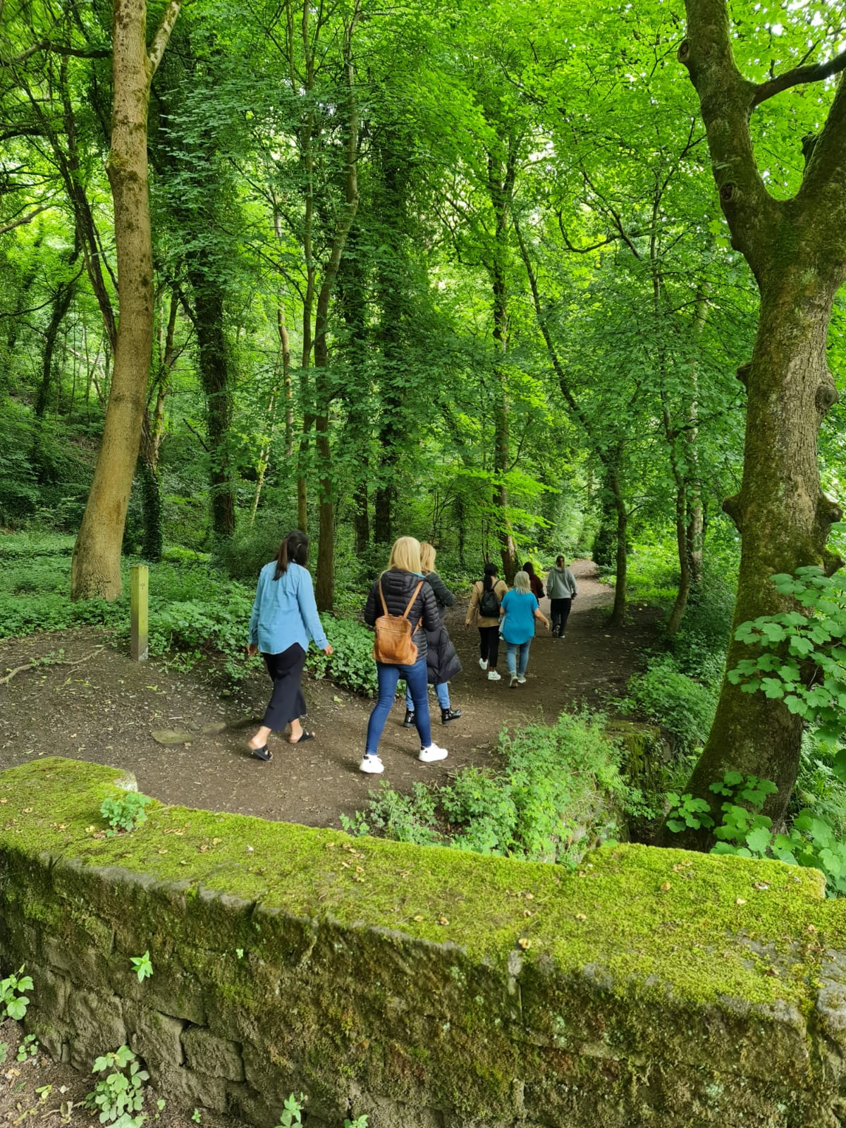 Therapeutic team and young women taking a nautre walk near Sheffield